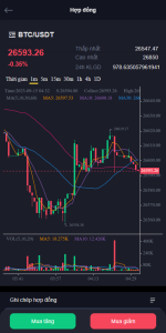 Vietnamese electronic currency exchange system