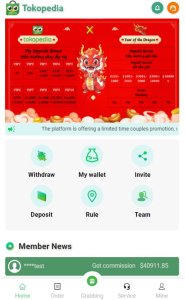 tokopedia brand order recording app
